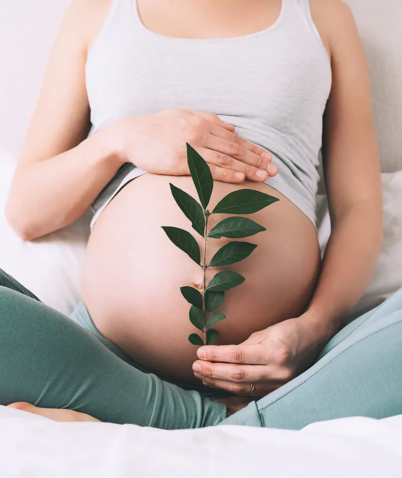 Ambulatorio di Ginecologia e Ostetricia delle Terme Santa Lucia di Tolentino